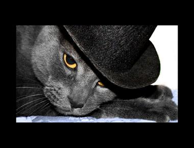 Quotes on Life (1)  關於人生的名言佳句