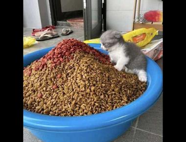 Are your eyes bigger than your stomach?