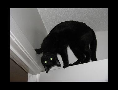 "被鬼附身" 的英文怎麼說?