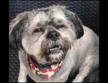 英文裡的名詞子句 (二)