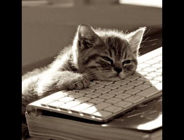 如何訓練英文寫作能力?