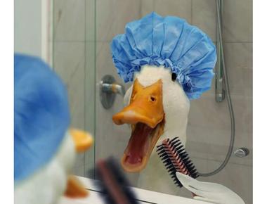 「破音」 的英文怎麼說?