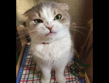 錯誤的英文學習方式 (一)