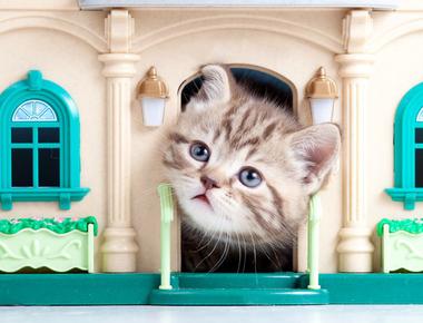 "豪宅" 的英文怎麼說?