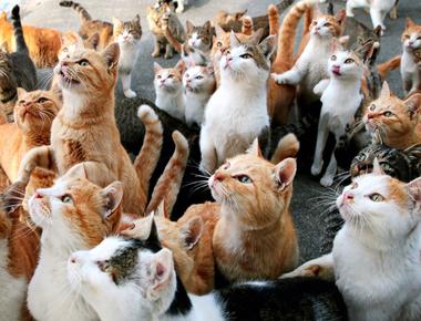 etc. 的正確用法