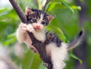 常見英文錯誤：Where are you come from?