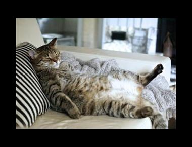 時態 - 過去簡單式