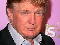 "comb-over" 是什麼意思?