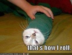 好用句: That's how I roll.