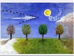 英文中形容詞的排列順序