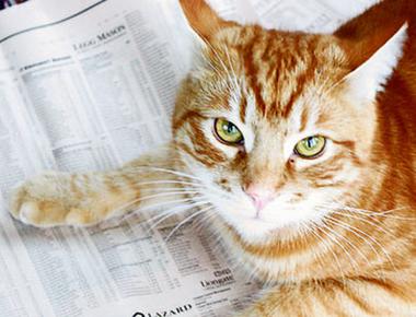 "上市公司" 的英文怎麼說?