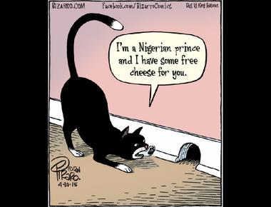 "詐騙集團" 的英文怎麼說?