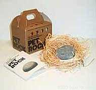 e5 2SMBNpRrRBrAuBTvpRg