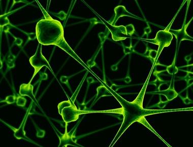 go viral 是什麼意思?