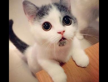 致莫名其妙的網友 "我就是我"