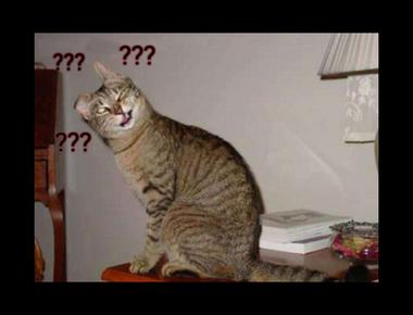 "hand-me-down" 是什麼意思?