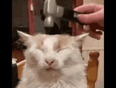 「hammered」是什麼意思？