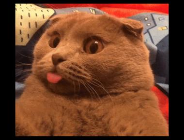 the other day 到底是哪一天?