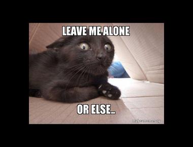 “Leave well enough alone.” 是什麼意思?