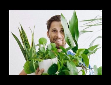 「plant mister」是什麼意思？