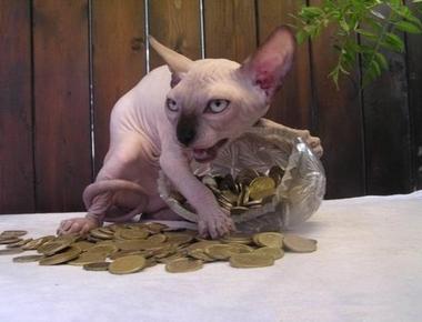 哪種"借"才對? borrow, lend, loan  有什麼不同?