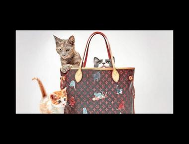 "名牌包" 的英文怎麼說?