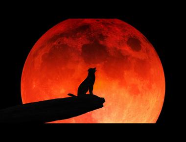 Every day is the first day of the rest of your life.