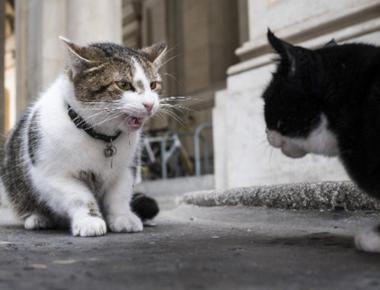 「That was uncalled for.」是什麼意思？