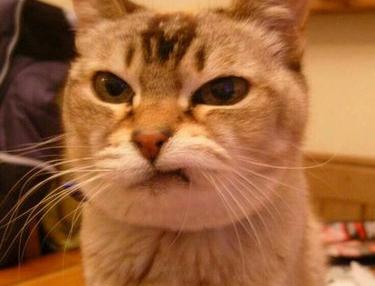 "十倍奉還" 的英文怎麼說?