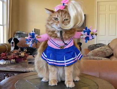 常見誤譯: cheerleader 不是'啦啦隊長'!