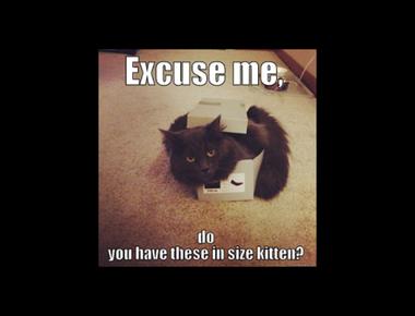 "這雙鞋有沒有七號的?" 英文怎麼說?