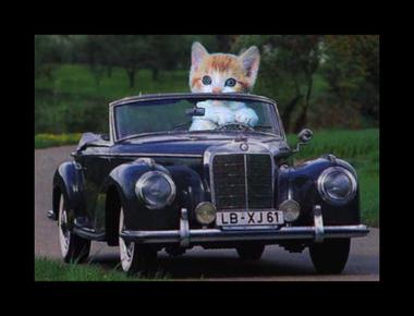 「make good time」是什麼意思？