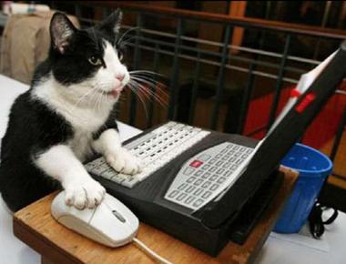 “玩電腦” 的英文正確說法