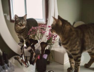 "梳妝台" 的英文正確說法