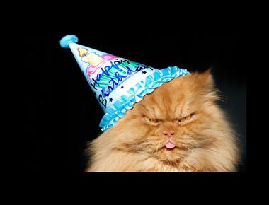 「I have company.」是什麼意思？