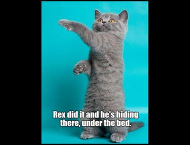 "抓耙子" 的英文怎麼說?