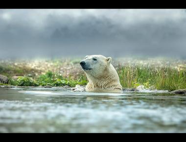 英文裡的形容詞誇飾