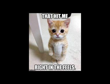 「in the feels」是什麼意思？