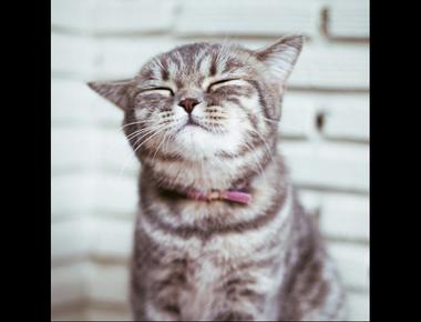 愛情限時簽 + 愛情逆轉勝