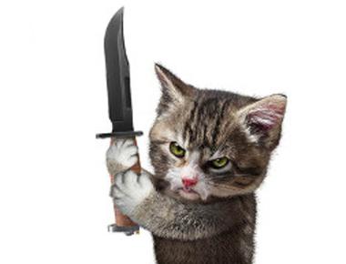 「kill the beat」是什麼意思？