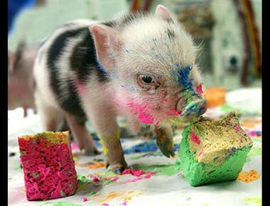 "大吃一頓" 的英文怎麼說?