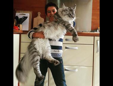 "big time" 是什麼意思?