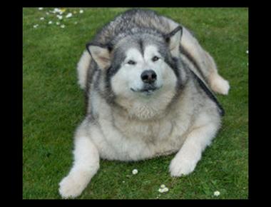 「round out」是什麼意思？