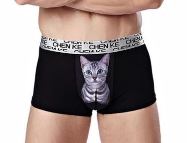 各種內衣的英文名稱—男生篇