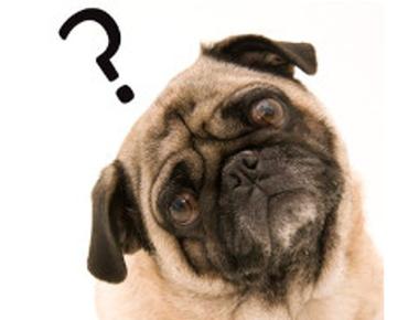 「pump iron」是什麼意思？