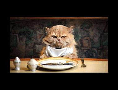 foodie是什麼意思？