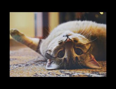 "變好" "變壞" 的英文怎麼說?