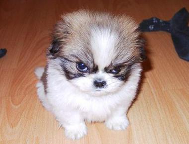 mean, sick, killer 可能是好的意思?