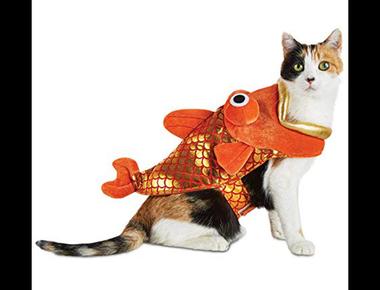 「red herring」是什麼？