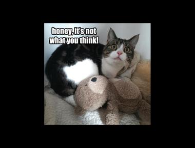 "外遇", "劈腿" 的英文怎麼說?